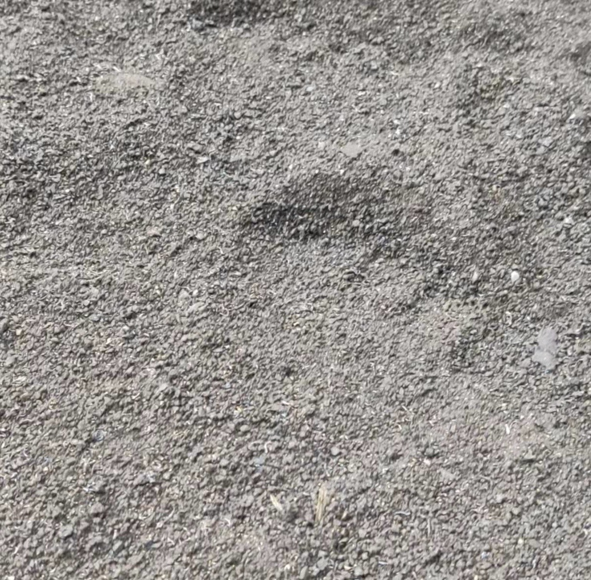 出售江油约2300吨砂轮灰（机磨、锻钢）期货